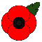 poppy